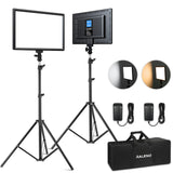1 x RAW Customer Returns RALENO LED Video Lighting Kit, 2-Pack 192 LEDS Soft Video Panel Light with 180cm Light Stands 1 Handbag, 3200K-5600K Built-in Batteries Studio Lights For YouTube Video Recording Photography Streaming - RRP £169.99