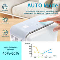 1 x RAW Customer Returns Hoomace 3 In 1 Small Humidifier Dehumidifier Combo With Air Filtration, Humidifiers Dehumidifier For Home Bedroom With Drain Hose Temperature Display,4 Modes,7 Color LED Lights,Timer Set  - RRP £49.99